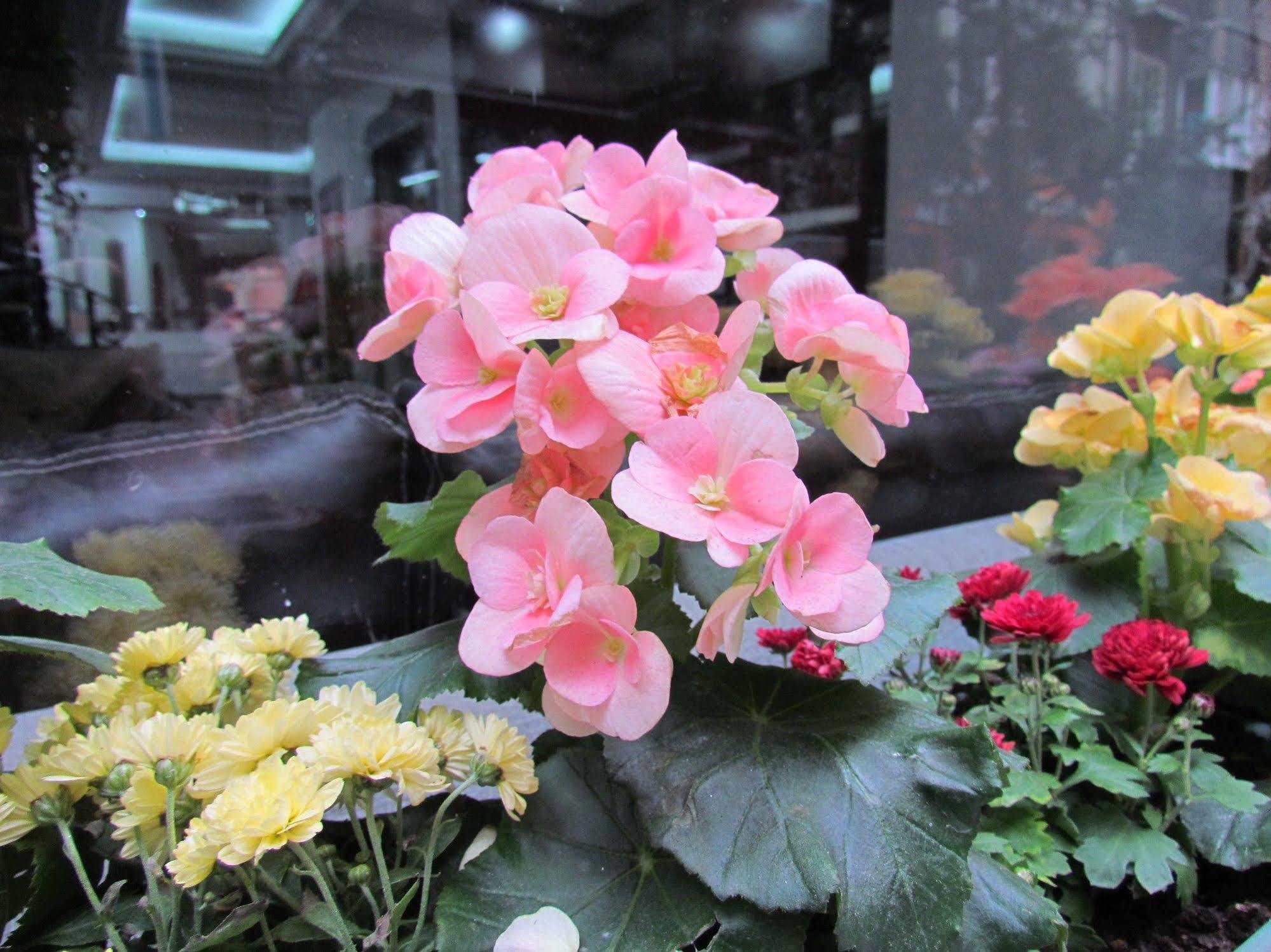 Promise Otel İstanbul